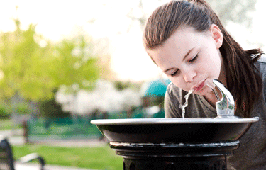 939557_orig.gif 939557_orig.gif